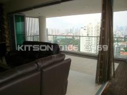 Pavilion 11 (D11), Condominium #10217582